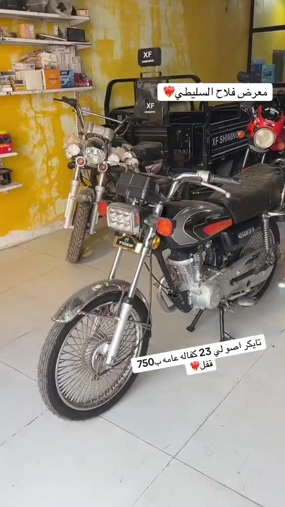 #معرض فلاح السليطي
قلعه سكر عكيل
***********
***********
