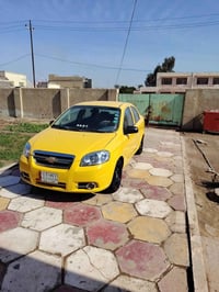 افيو ٢٠٠٩ • خليجي • مصبوغة