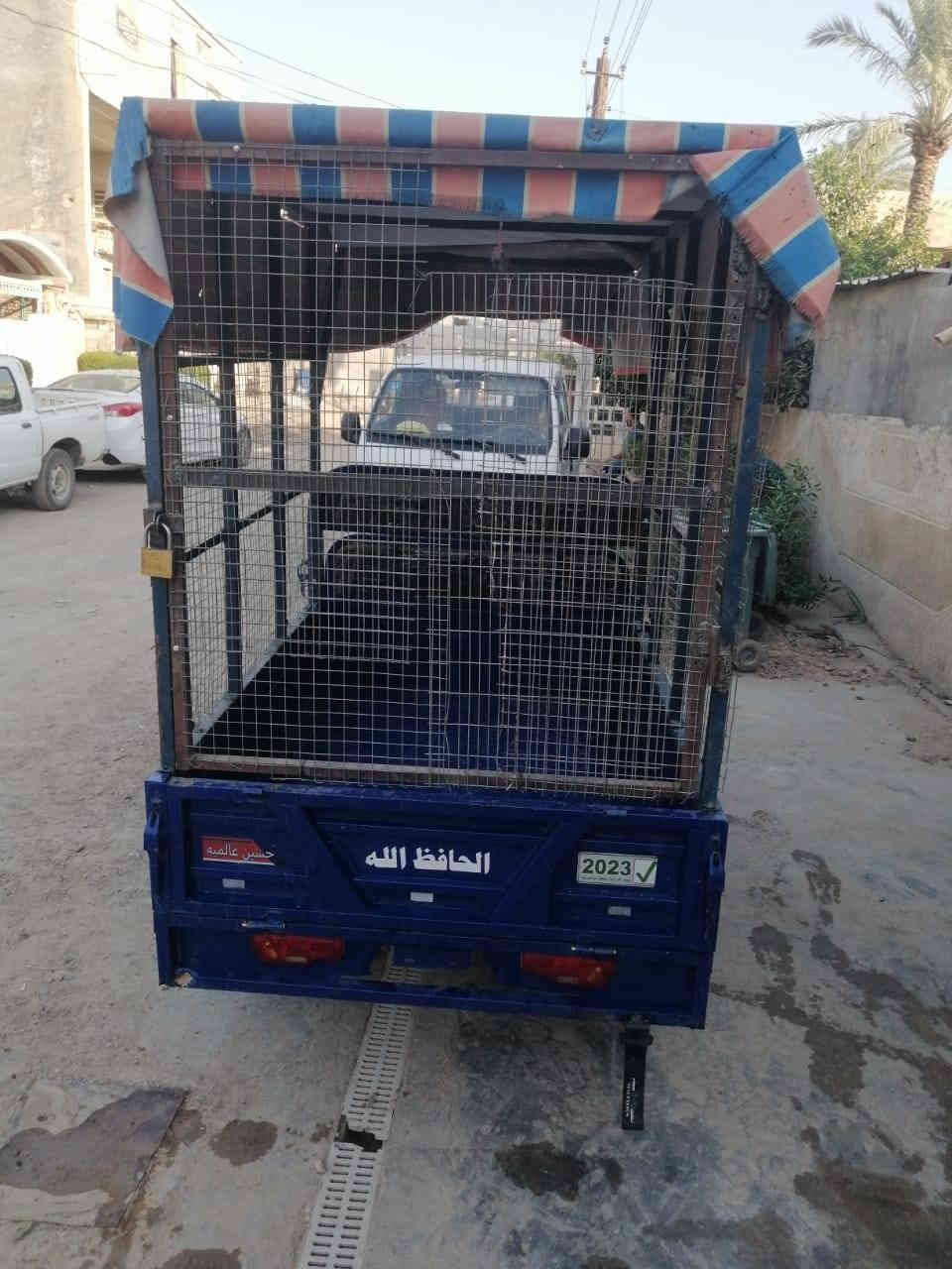 ستوته شحن 2023  6 بطاريات  ام الولد الصلي  جديده مال  اسواق
ويل كب   تاير جوبلس  السعر مليون وربع  1250
*********** بعقوبه  قرب تقاطع القدس
