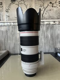 كانون 5D مارك4 • عدسة 70-200 • مكاني حله