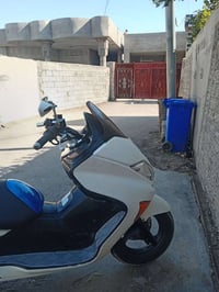 فورزه • ٠٨ • مكفوله