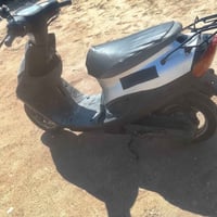 بيجي • فحل • نضيفه