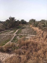 ١٥ دونك • المهدي - نهر القائد • خدمات متوفرة