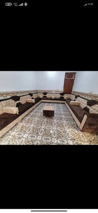 تخم وديوان • ضمان ٥ سنوات • بابل لمسيب