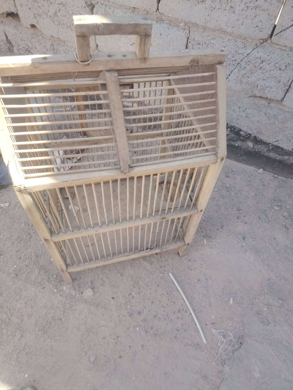 قفص للبيع سعره 15


**إذا كنت صاحب هذا الإعلان وتريد حذفه لأي سبب، رجاءا أرسل رسالة إلى الدعم الفني**