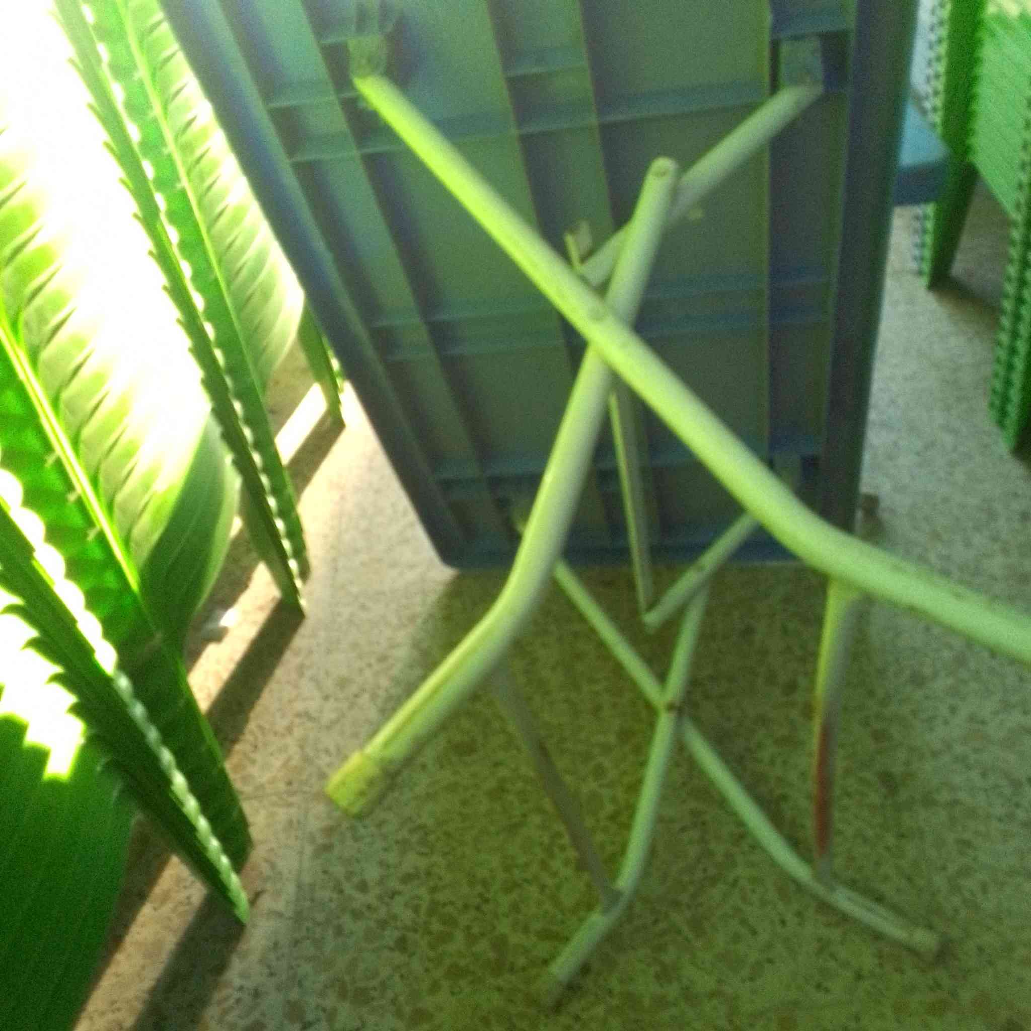 سلام عليكم ميوزة البيع سعر 23 بي مجال عدد 100 مكان بغداد نتصل ودلل ***********
