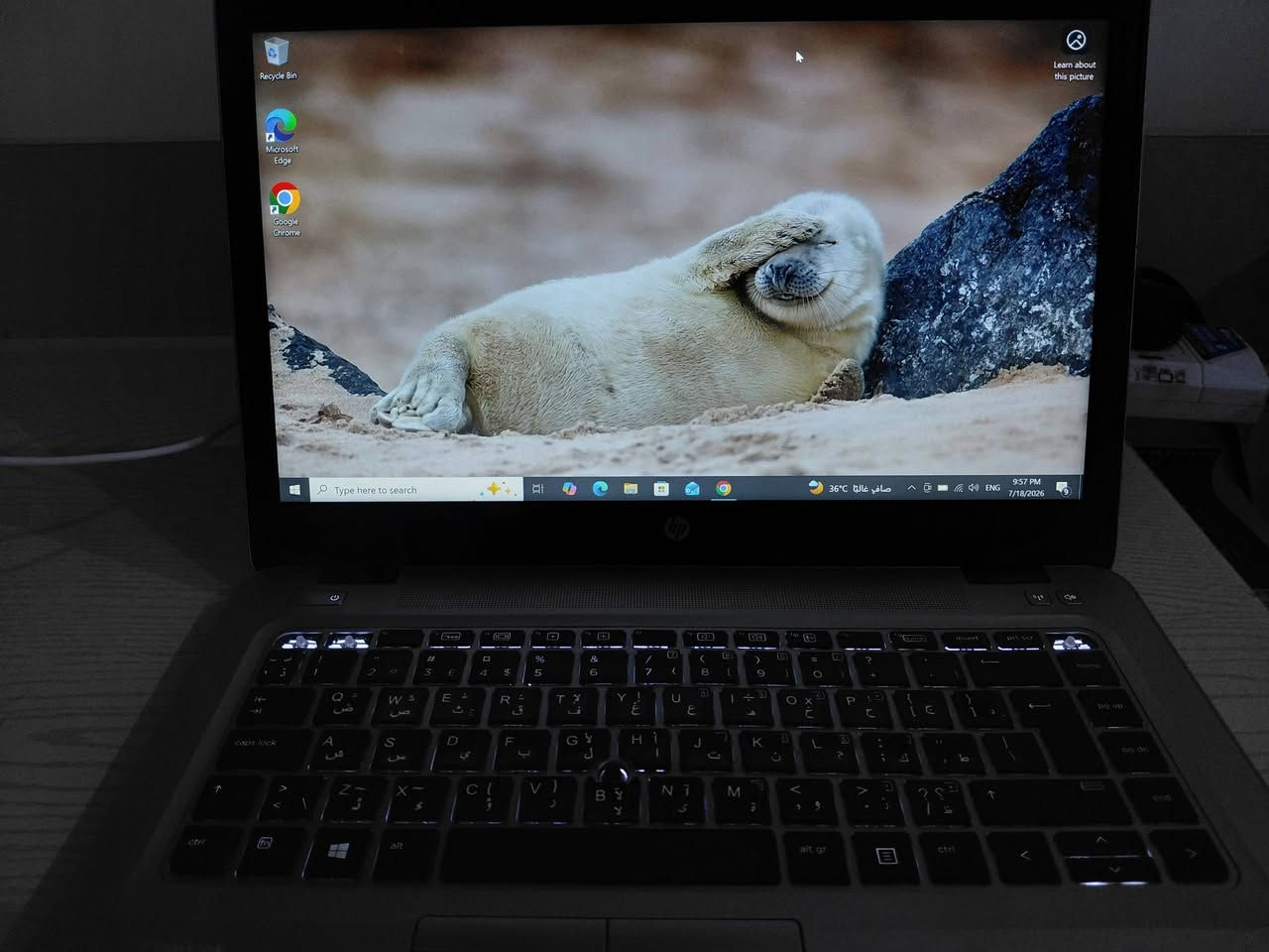 السلام عليكم
لابتوب HP للبيع
HP elitebook 840 g3
المعالج/ core i5  الجيل السادس
رام / 8 كيكا
كارت شاشة داخلي 4 كيكا Intel hd graphics 520
كيبورد ضوئي
كاميرا أمامية 
سلم
الجهاز شوية بي شخوط من برة 
وحروف الكيبورد بيها نقص 3 قطع
السعر 160 الف
متوفر توصيل إلى جميع المحافظات 
***********
