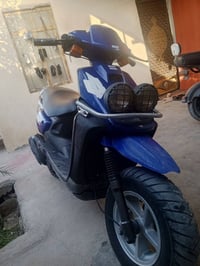 اكزز جبلي • نضيفه • خور الزبير