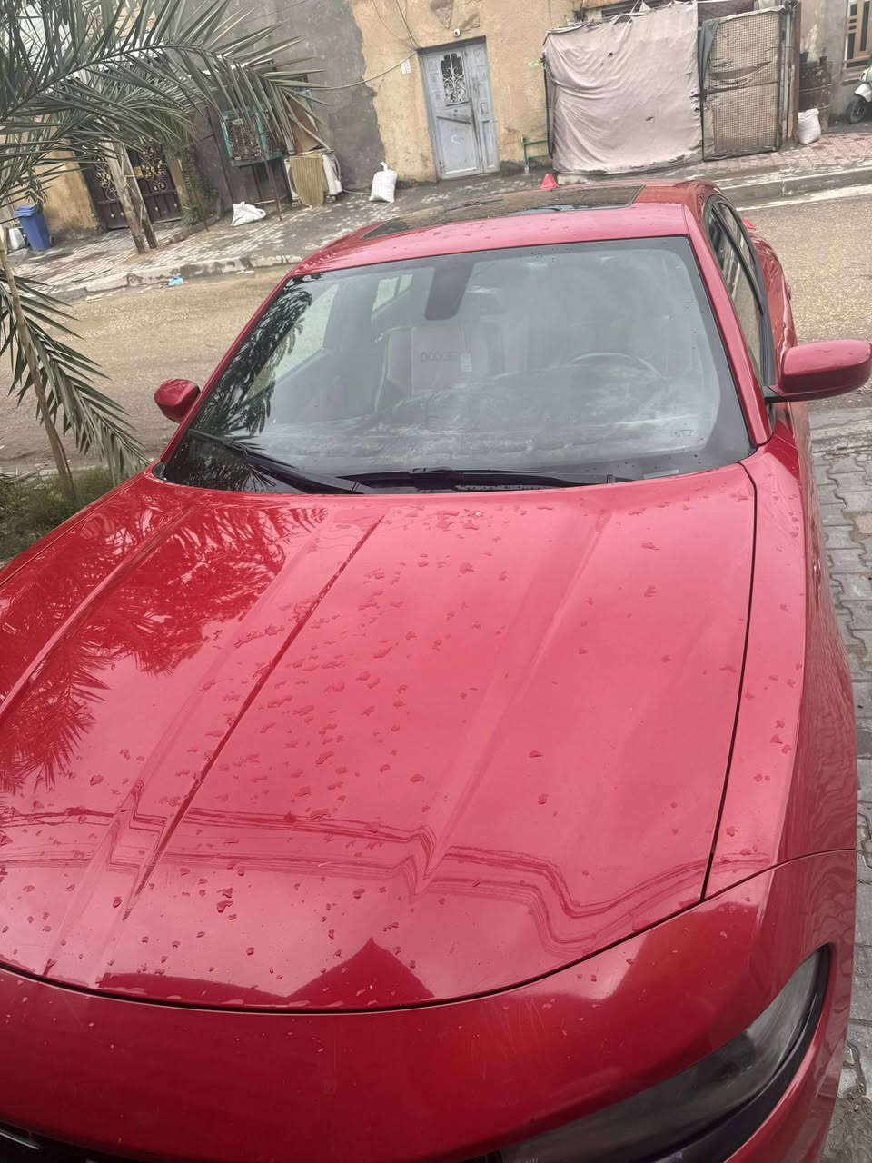 سلام عليكم
جارجر 15 لبيع كلين كندي كفاله عامه فول مواصفات فتحه كشن كهربائي رقم اربيل انكليزي ***********
*********** السعر ١٩٥ وبيها مجال
