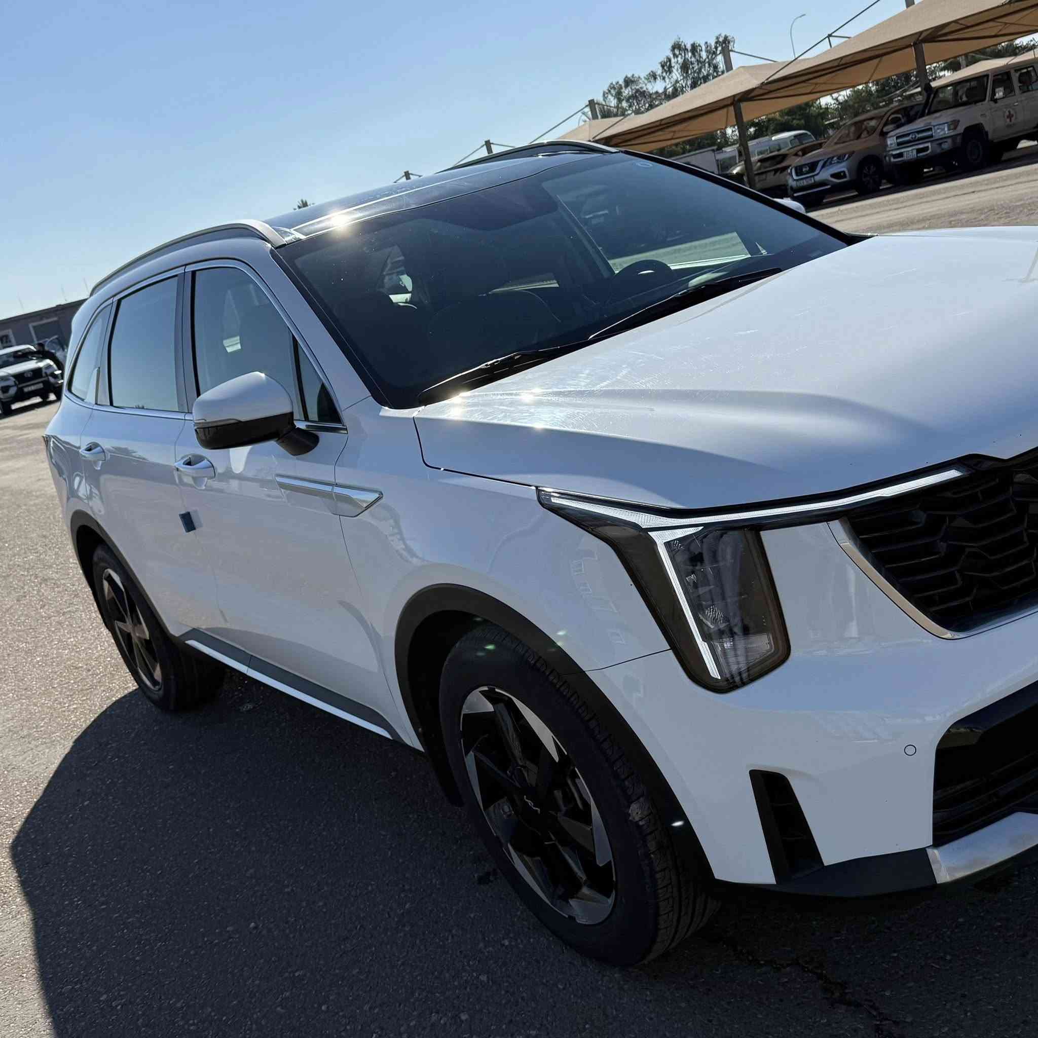 السلام عليكم 
سورنتو خليجي 6 سلندر بغداد 
ماشيه 47 فول مواصفات عدئ 
الكشنات مخمل
 بيهه بارد بخشم جاملغ ال ايسر 
بدون صبغ وبنيد شخط فقط   
33200$ مكاني بغداد الكماليه 
***********
