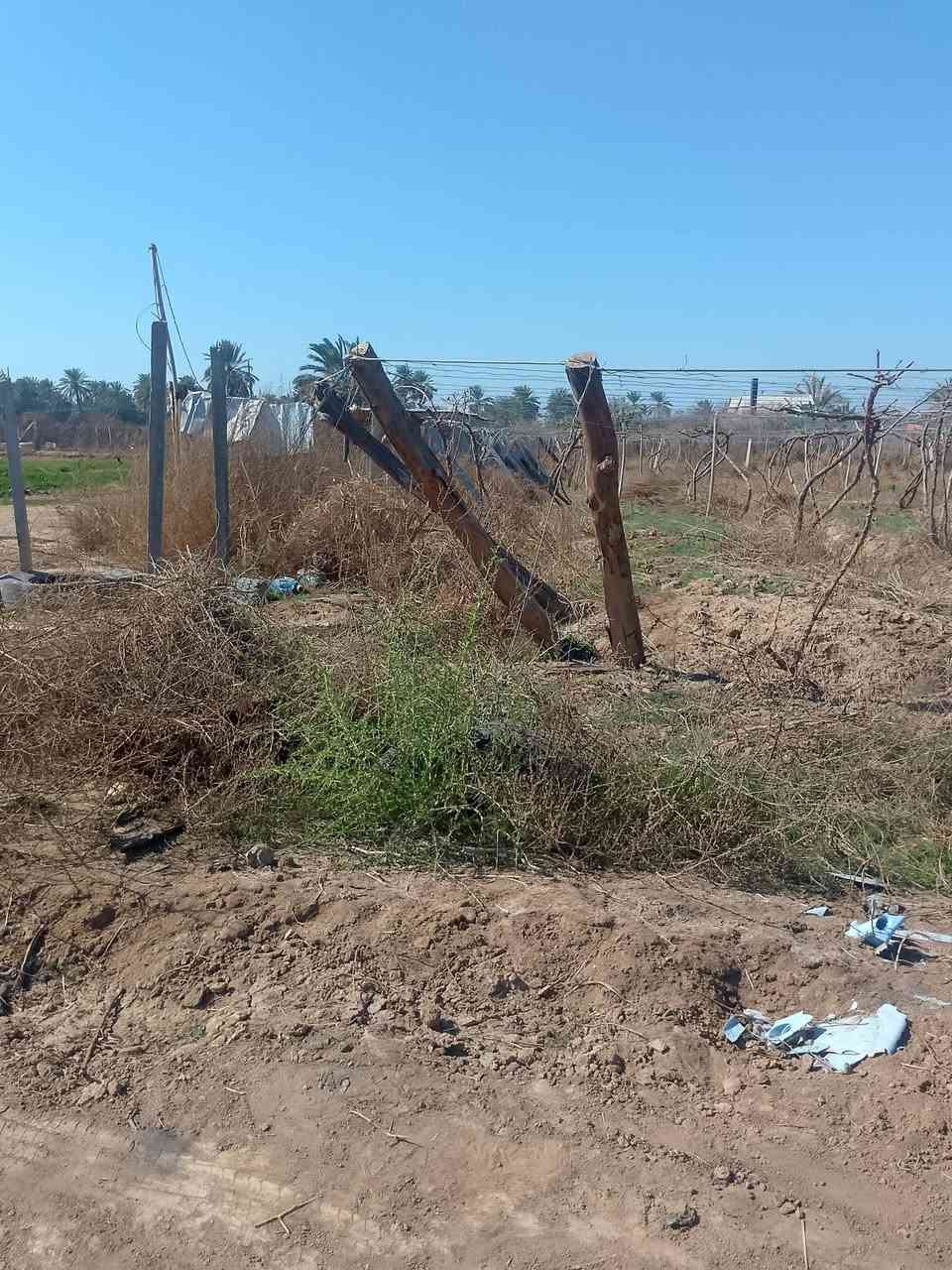 بستان للبيع المساحه دونم ونص المواقع بين مدخل 1-2 اتصال ع الرقم *********** ***********
