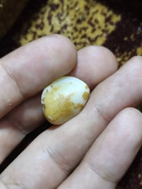 سليماني • عطف ملاكط • نوادر