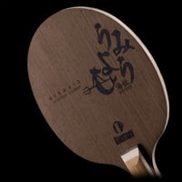 مضرب طاولة • تنس طاولة