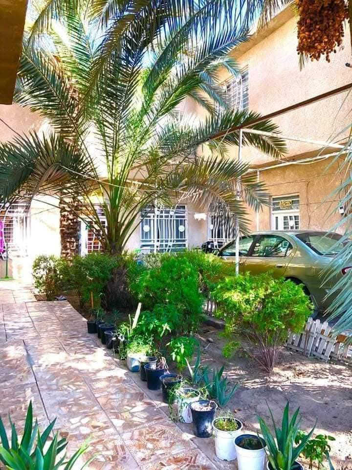 السلام عليكم
بيت مساحه ٤٥٠  يحتوي ع شقتين فوك والطابق الأرضي يحتوي ع غرفتين وصاله واستقبال ومطبخ حراري وبارد وحمامات خارجيه  وحمام داخلي ويحتوي ع كراج  ويحتوي ع سويت يتكون من  صاله وغرفه وحمام   عنوان كربلاء طريق بغداد عامود ١٥٩  ع طريق الخدمي 
سند ٢٥
تفاصيل:***********
