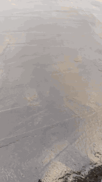 تزفيت لسطوح ولبتلوات بسعار مناسبه جدا مع تنضيف لصطح بلبلور لهواه ماده ...