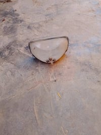 لايت بيك أب • ٨٨/٨٥ • العدد2
