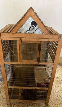 قفص • نضيف جدا • النجف