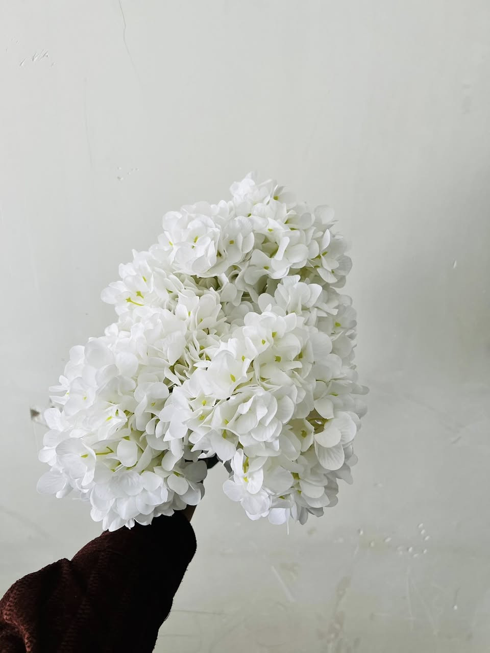 متوفر الان


**إذا كنت صاحب هذا الإعلان وتريد حذفه لأي سبب، رجاءا أرسل رسالة إلى الدعم الفني**