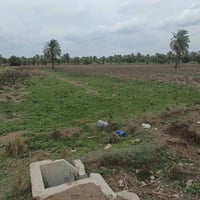 ٧دونم • طابو زراعي • واجهة١١٠م