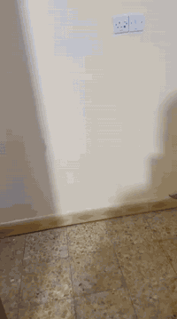 شقة ارضية للايجار الفوري وجاهزة للانتقال تتالف من غرفة وصالة وحمام وخط مولدة تصلح فقط كمكتب اوعيادة في حي الكرامة/ شارع كميل السايدين(تبليط جديد) جنب مرطبات ابن العرندس والكرامة مول ومقابل مستوصف الكرامة والايجار الشهري ٤٠٠ الف يدفع كل شهر بشهره  .للاستفسار والمعاينة  ***********
