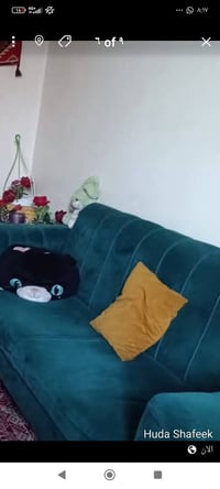 تخم تركي التواصل٠٧٧٧٥٧٩٦٤٨٠