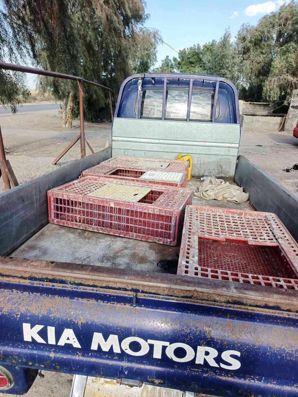 كيه حمل 2006 سنويه طايفه صار سنه مالكه بغداد رقم صدامي جانت محركه قبل 300 سوبر هسه حو
2700 سعره 58 ورقه سياره كفاله عامه حتا ما مصبوغه علا وضع شركه الي يشتري يتصل علا هاذ رقم ***********
