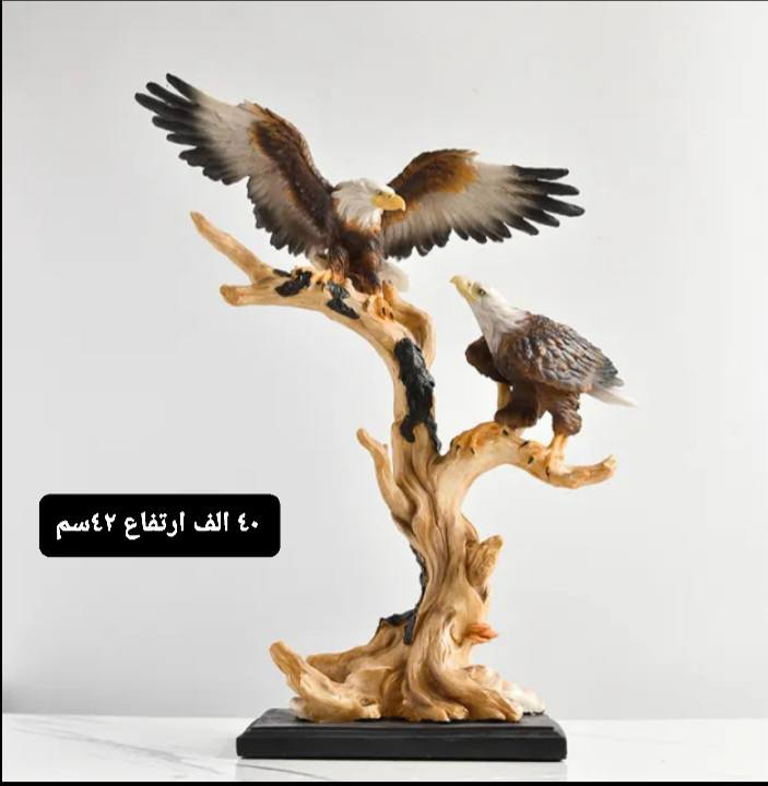 للحجز الاتصال بلصفحه او الرقم *********** يوجد توصيل
