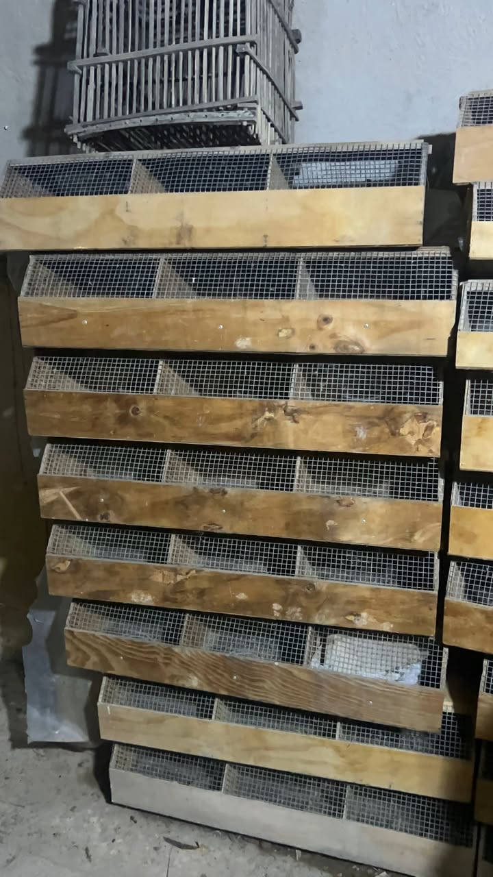 السلام عليكم متوفر صناديق خشب درجه اولى استيراد بلجيكي تستخدم لنقل الحيوانات كافه
. سيم قوي العدد تقريبآ ٧٥
عنواني بغداد


**إذا كنت صاحب هذا الإعلان وتريد حذفه لأي سبب، رجاءا أرسل رسالة إلى الدعم الفني**