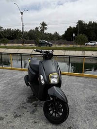 بوليسي امتياز • كفالة عام • لون مميز