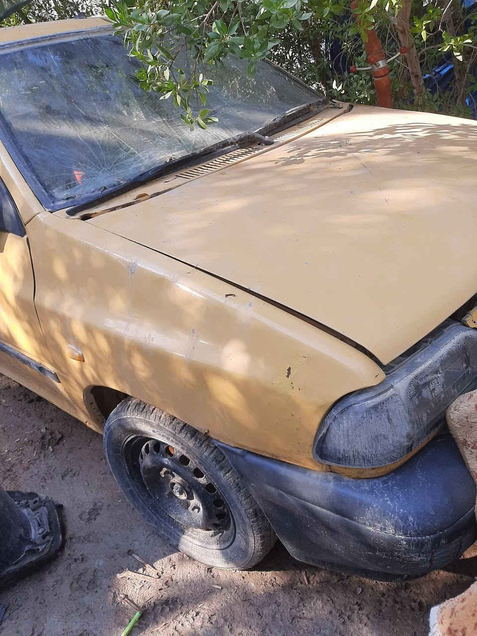 السلام عليكم سابيا موديل 2012السنويه 2027 راعيه موجود سنويه عضم عاج الرقم الماني بابل منضومه مال تبريد جديده المكينه مجفته كير خير من الله الرقم بي وتساب ***********  متوجد عل فيس
