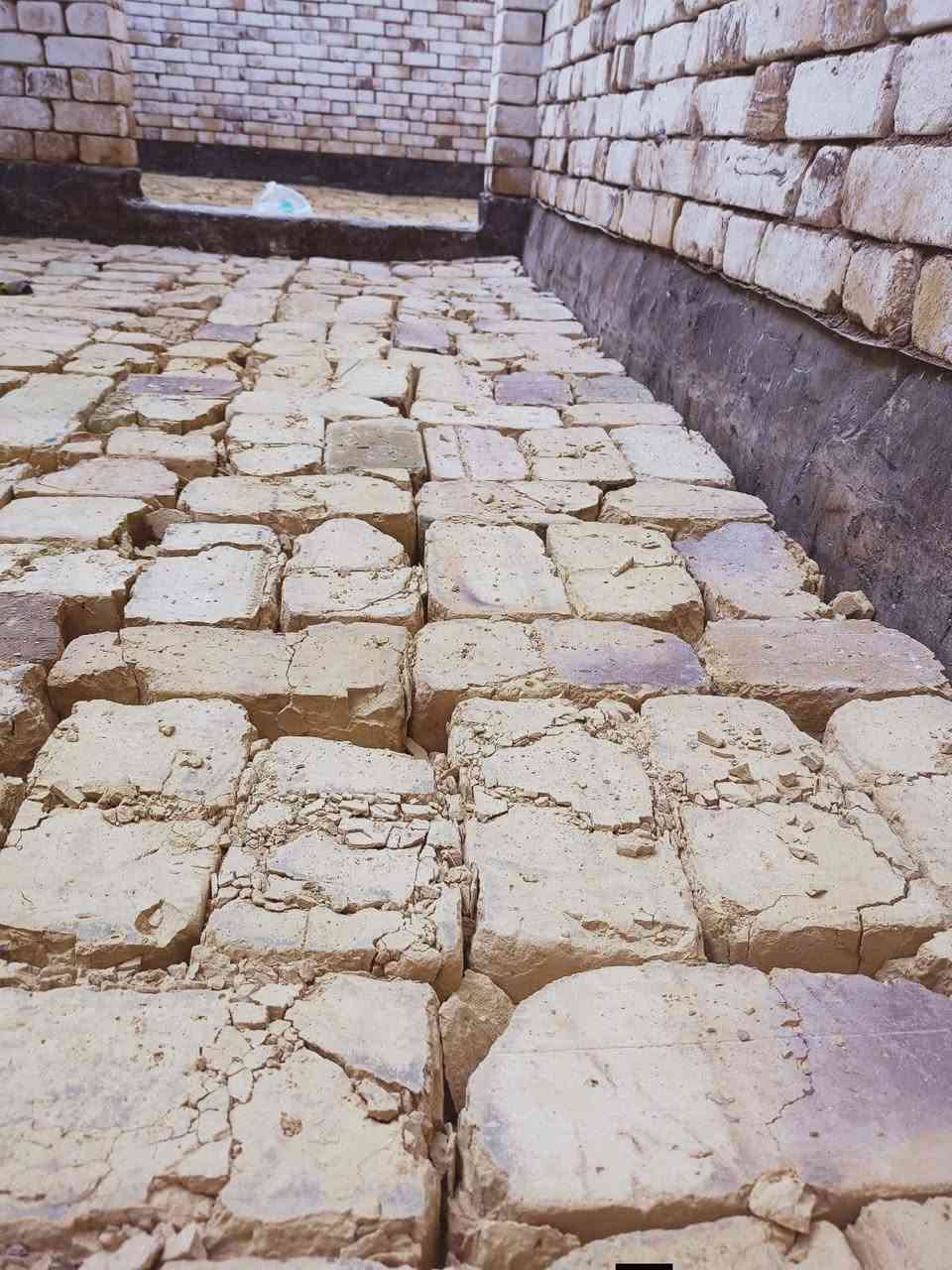 بخيل الي مايصلي علئ محمد وال محمد
سلام عليكم اخوان شغلنا درجه اولا وبنسب السعار 
مايعجبك الشغل لاتدف افلوس والله اخليك ترحملي بل شغل شغلنا مرتب ونضيف 

يتضمن شغلنا 
1حفر وتربيع ودك 
2 تكشير حائط (لبخ) 
3 لبخ بتلو 
4 تزفيت بتلو 
5اشداده صطح 
6صب ارضيه 
7حفر خزينه 
8ادخال سبيس وفرشه وحدله بل قفاز
9حفر خزينه
10تشربت صطح تشربت كاشي وسيراميك
11قلع سراميك
12 اخراج انقاذ من البيت 
احفض رقمي يمك بئ
ي وقت بس خابرني يمك ***********. 
***********
‏‪0785 373 9118‬‏
