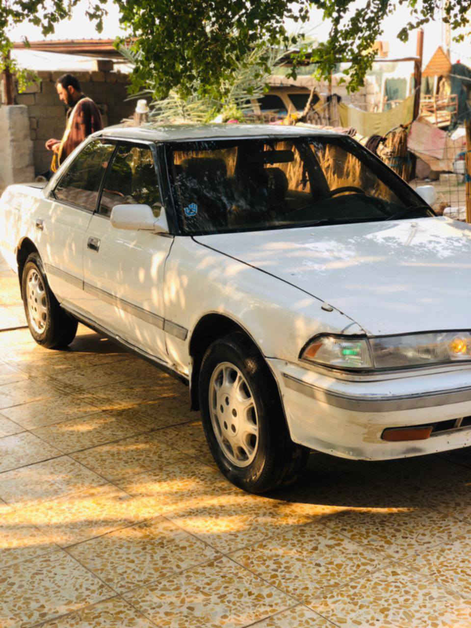 السلام عليكم مارك البيع عضم ونجي سياره جهزه الخير ماعيزه شي كفاله عيب شرعي اصوليات سنويه 27 مداور ثني يم بيع او مراوس السعر 32 العنوان الشطره ***********
