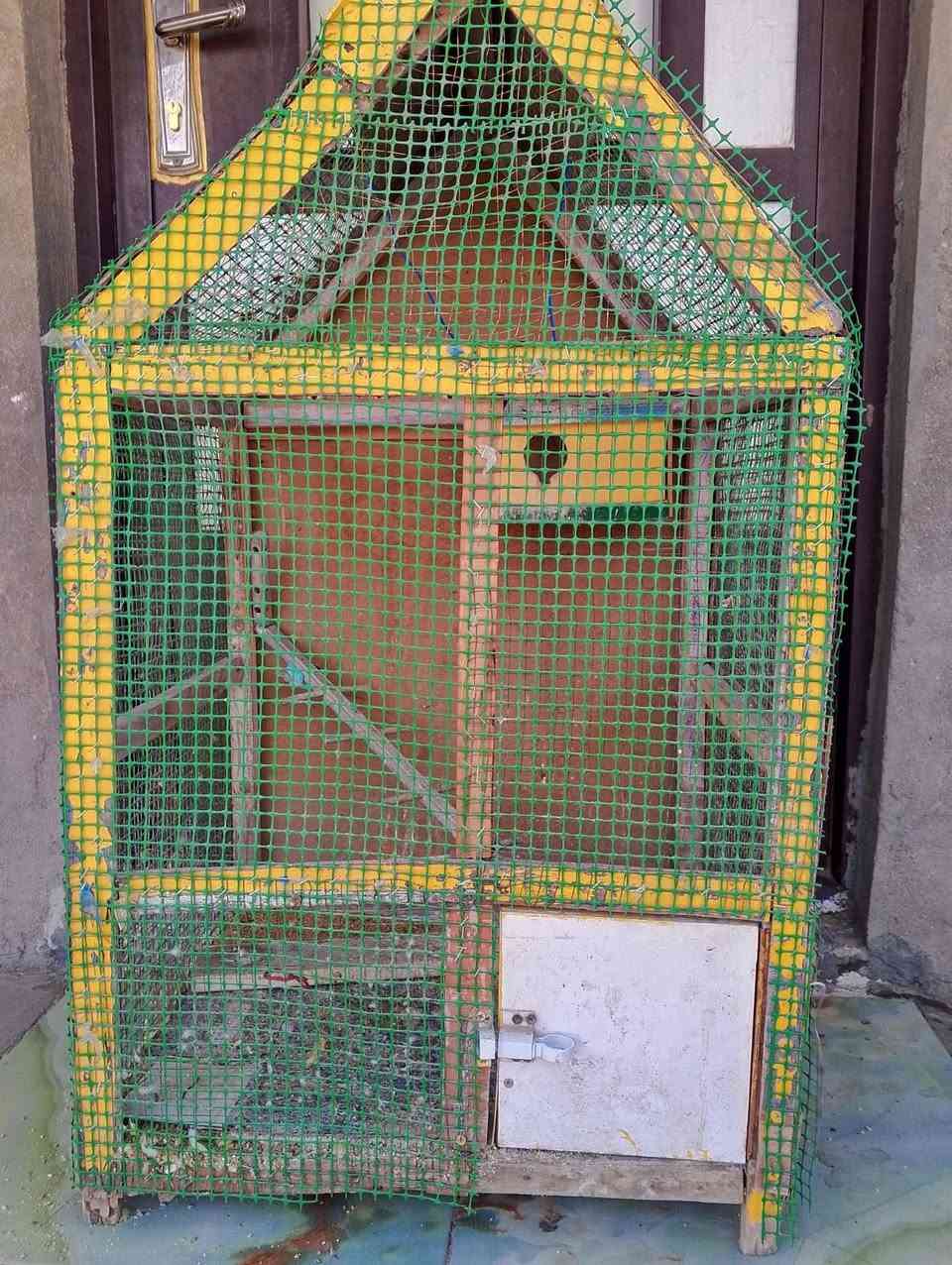 قفص الطيور البيع سعرة ٢٥ مكان عويريج قرب علوة الرشيد


**إذا كنت صاحب هذا الإعلان وتريد حذفه لأي سبب، رجاءا أرسل رسالة إلى الدعم الفني**