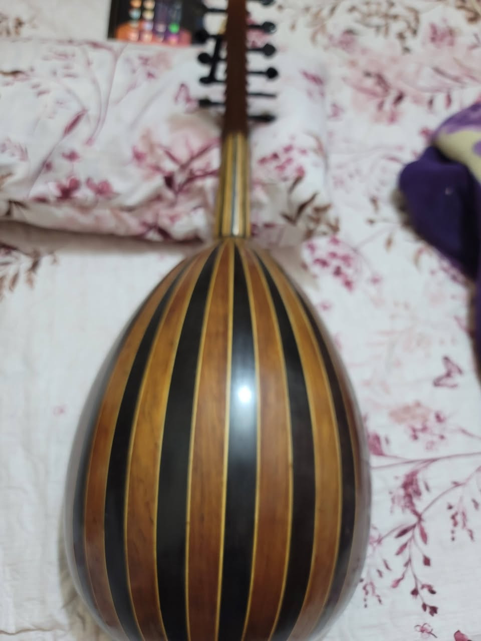 سلام عليكم عود مصري صناعه سعيد عبد العضيم الضهر ونكي وجوز ولجه سيدار المصطره ولمضرب ونكي الوتار لابلا امريكي قبل ساعه شديتهن اول دوزان العود صوت جدا جميل سعره ٢٥٠ نهايته مكاني بصره الي رايده عدي وات ساب *********** يتصل ويدلل
