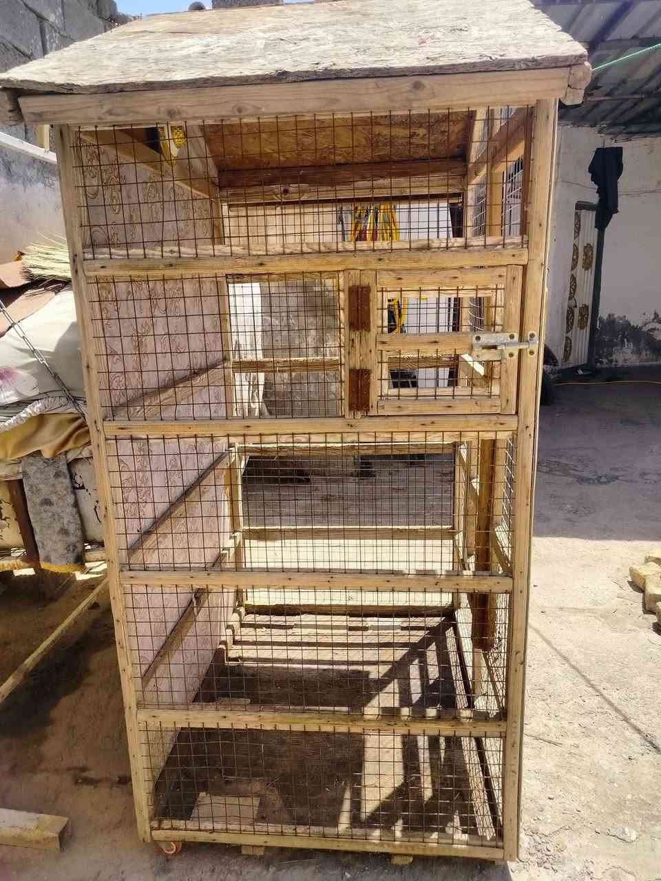 قفص لبيع لعنوان/ ميسان العمارة منطقة الماجديه لتواصل على الخاص او واتساب وهذا رقمي *********** Singapore
