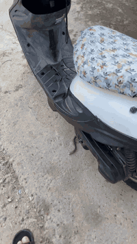 دراجة بيجي 9 زروف سرعة 60 كاملة من كلشي كهربائيات كلها شغالة عدادات بر...