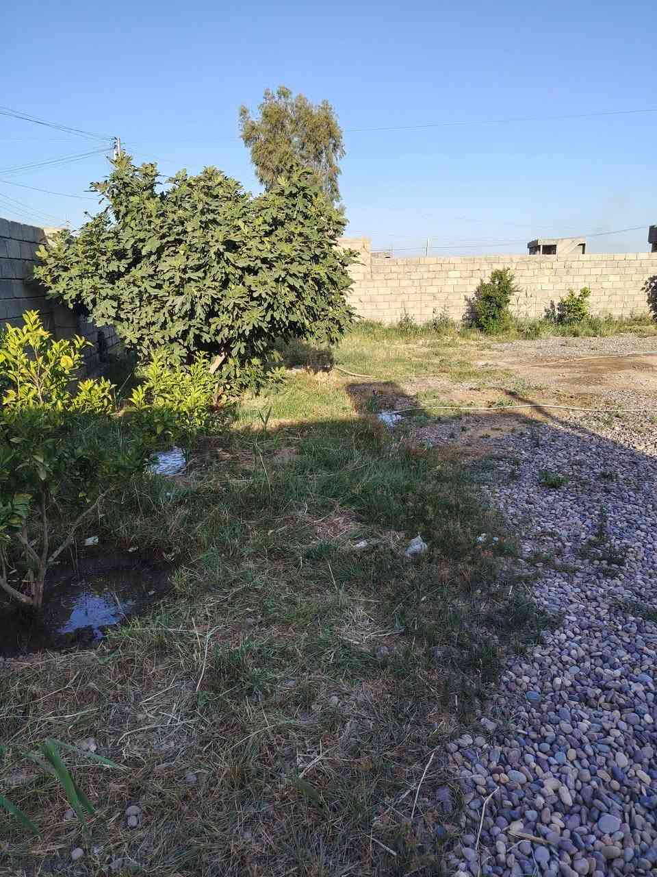 سلام عليكم بيت لبيع شغل جديد جاز عل طريق بكبره طروخ غريب عل صيطره لقواس وجميله ستفسار ***********
