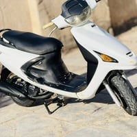 فراشه فحل • متواجد • خاص