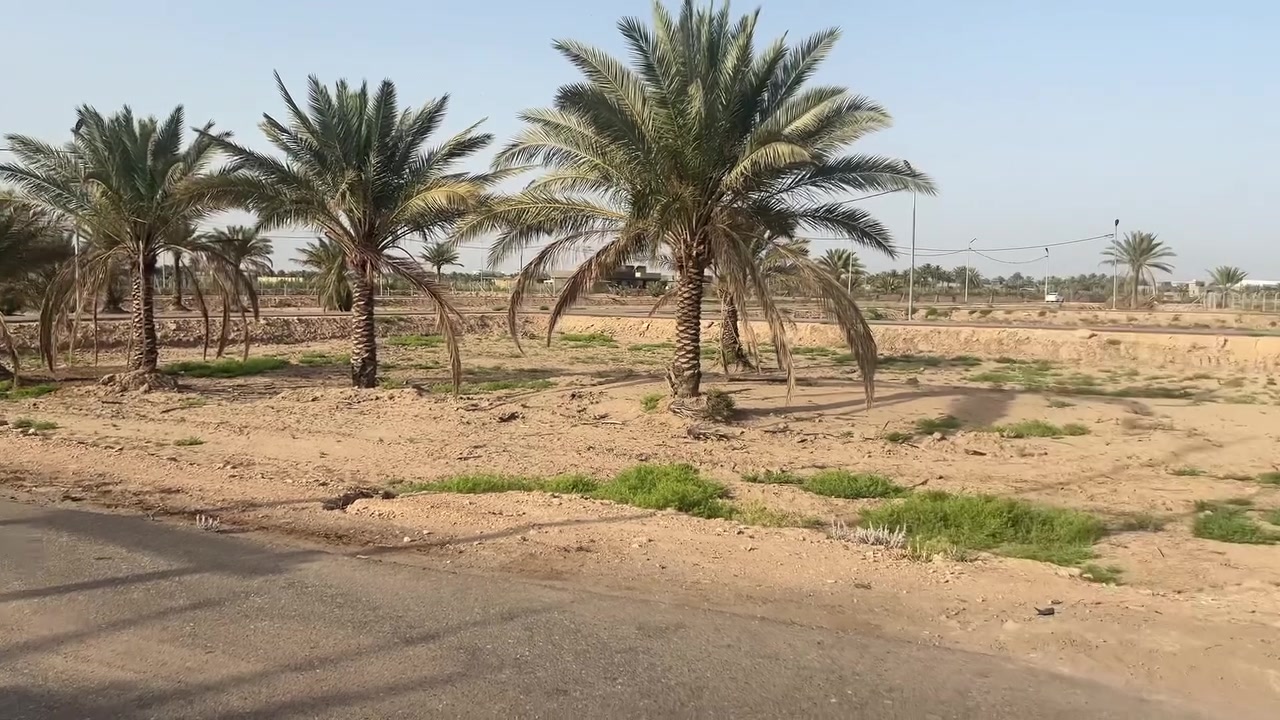 عروضنا ماتخلص    الموقع يبعد 600 متر عن طريق حله نجف  كله تبليط  ***********
