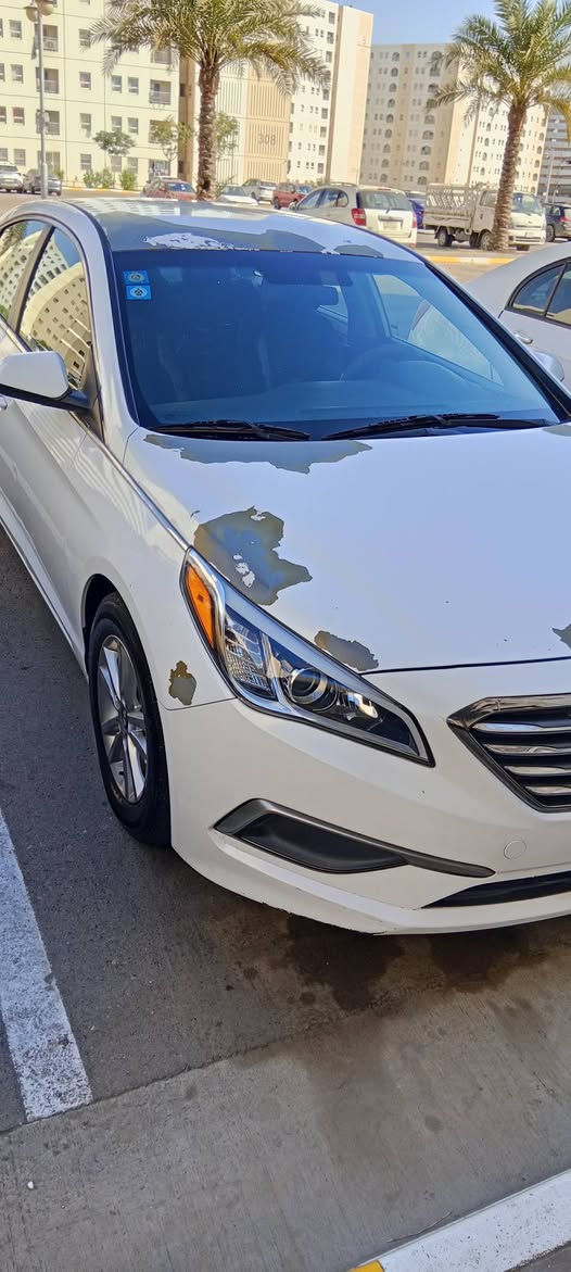 للبيع سوناتا 16 وارد امريكي بدون ايرباك السياره ليبل واحد مابيها اي صبغ ولا فتح صور الحادث موجوده بل منشور ماشيه 83 ونص السعر 110
***********
