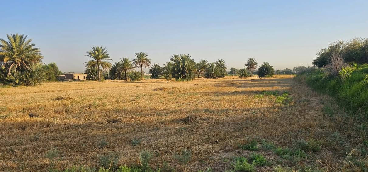 ارض زراعية للبيع على ديالى طابو تحويل باسم المشتري بالطابو مال بعقوبه المساحه ١٠دونم كل خمس دوانم بيها سند شرط التحويل بأسم المشتري بيها مجتملات اثنين يرادلهن ترميم وبيها محرك تصلح حقول دواجن تصلح بحيرات سمك تصلح بستان حسب رغبة المشتري العنوان من تطلع الصناعه مال بهرز تاخذ يمنه على العباره تطلع العصامله ومله عيد وتطلع الجعافره يم المراسمه لها طريق ثاني تطلع ابو خميس مقابل المعسكر قريه النقيب تاخذ يمنه ٢كم توصل السده تاخذ يسره تمشي كيلو تاخذ يمنه على ديالى ٢٠٠م  ولها طريق ثالث من يم حبش تاخذ يمنه تمشي ٣كيلو توصل قرية البياع تمشي كيلو تاخذ يسره ٢م  وباقي التفاصيل الشراي يتصل ويدلل *********** بي واتساب *********** ملاحضة الأرض تباع بالكامل بدون تقطيع وتحياتي للجميع
