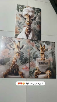 متوفر • ديكور • اكسسوارات