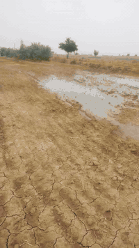 سلام عليكم الارض البيع موقعه فرع الزيوت بلحميره غريب ع بيت محسن جعازج مساحه 5 دونم ماي متوفر دامن شتاء وصيف عليه نهرين ماي بيت جاهزه السكن بيه نخل شويتي كله يحمل مزروعه حطنه رقم  ***********
