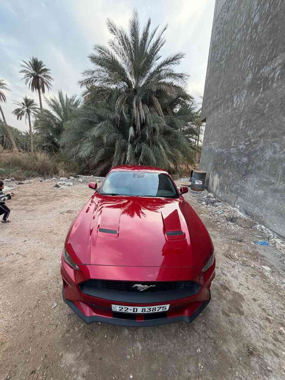 للبيع | Ford Mustang EcoBoost 2021 🇺🇸

🔹 المحرك: 2.3L EcoBoost Turbo
🔹 القوة: 310 حصان
🔹 عزم الدوران: 475 نيوتن.م
🔹 ناقل حركة: أوتوماتيك 10 سرعات
🔹 نظام الدفع: خلفي (RWD)
🔹 الجنطات: 19 إنج (كبس)
🔹 وضعيات قيادة متعددة (Normal / Sport / Track / Snow-Wet)
🔹 شاشة لمس مع Apple CarPlay & Android Auto
🔹 كاميرا خلفية وحساسات
🔹 مثبت سرعة
🔹 تشغيل بصمة (Push Start)
🔹 دخول ذكي (Keyless Entry)
🔹 إنارة LED
🔹 مكيف ممتاز
🔹 السيارة نظيفة وجاهزة للاستخدام

📍 الموقع: كربلاء

✅ بيها قطعتين بدون دواخل
✅ تفحص بأي مكان يختاره المشتري
✅ غرامات 51 ورقة، تنزل من سعر السيارة
💰 السعر: 17,500 دولار قابل للتفاوض بالمعقول

📞 *********** كربلاء, العراق
