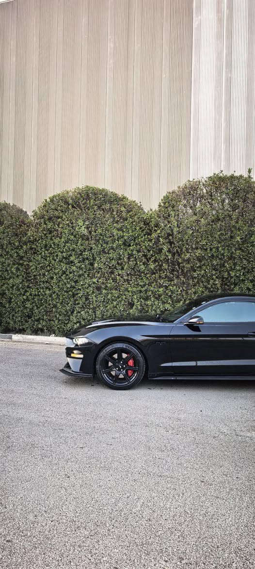 موستنك GT ( 5.0 ) 2019
موستنك GT للبيع ( 5.0 ) 10 speed ( 10 نمر )🚀

وارد كندي كلين تايتل مغلفه PPF بالكامل 

فقط نص شبر بالبنيد صبغ فقط لا غير 

ماشيه 48 الف مثل ما موضح بالصور

فول عدا الدجتل يجي العداد تحكم 7 الوان 

عليهه : 👇🏿

برمجه ارماند 

داون بايب 

ء H بايب 

دبات خلفيه HT بور بوابات

فيت ام AEM 

سستم دواخل كاربون فايبر بالكامل 

السياره لتقارنهه بالمهجومات نهائياً 

كفاله كير و مكينه شرط ! 

تجي واحطك على راسي وتاخذ بيهه تراي و تشوف كشرهه و نصبتهه و قوتهه 

السياره معروضه ب22،500 

وبيهه مجال للشراي 

***********
