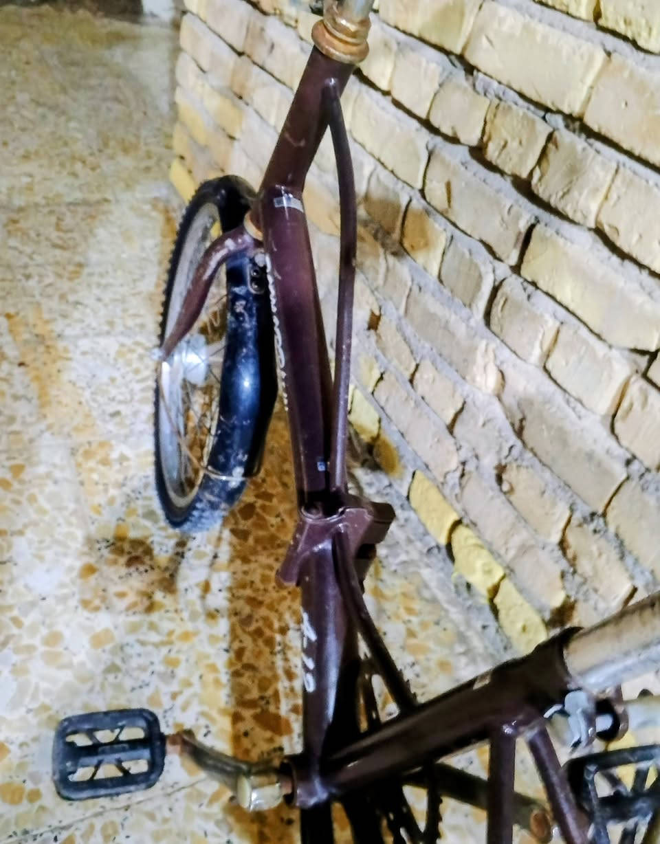 سلام عليكم اخوان باسكل حجم ٢٠ نضيف يطبك السعر ٣٥ قفل


**إذا كنت صاحب هذا الإعلان وتريد حذفه لأي سبب، رجاءا أرسل رسالة إلى الدعم الفني**