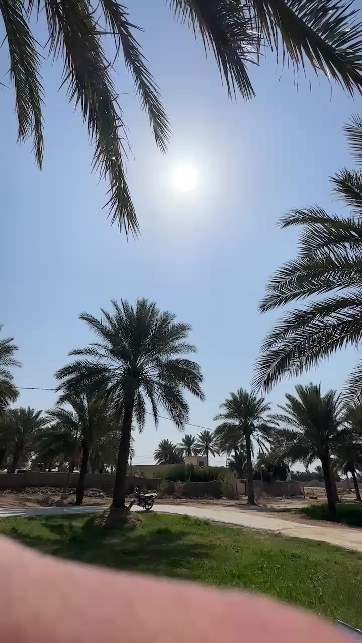 تايكر سونك 5كير 2025صارله ١٠ ايام طالعه من الوكيل سكنر مراوس ب نامة نضيفه ٢٦ او ٢٧ اهم شي نضيفه مكاني بابل النيل


**إذا كنت صاحب هذا الإعلان وتريد حذفه لأي سبب، رجاءا أرسل رسالة إلى الدعم الفني**