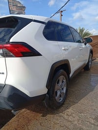 راف فور • هايبرد • مرقمة اربيل