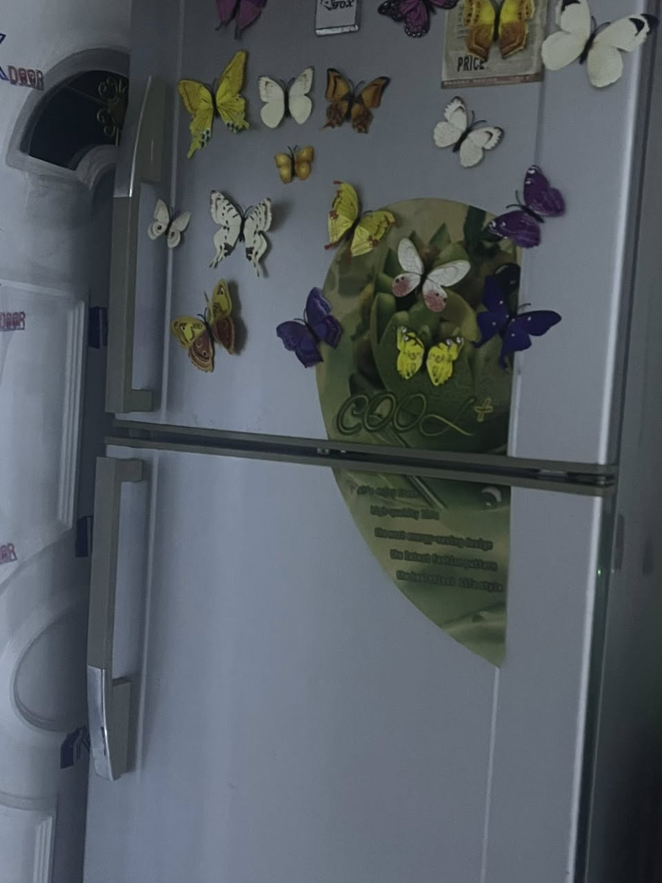 ثلاجه حجم كبير كلش نضيفه مابيها ضرر مجرد مابيها محامل عنوان موصل سعر 150وبي مجال


**إذا كنت صاحب هذا الإعلان وتريد حذفه لأي سبب، رجاءا أرسل رسالة إلى الدعم الفني**