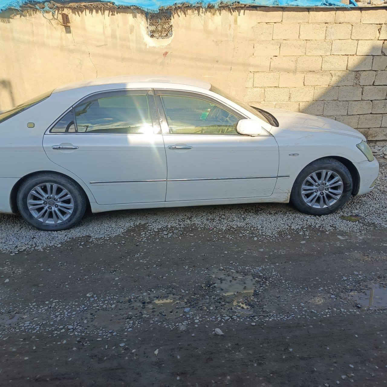 شاهینه ١٨٢ناوزه ر به سمه یه یه کبارجه ی اوروبایه *********** كالار, السليمانية
